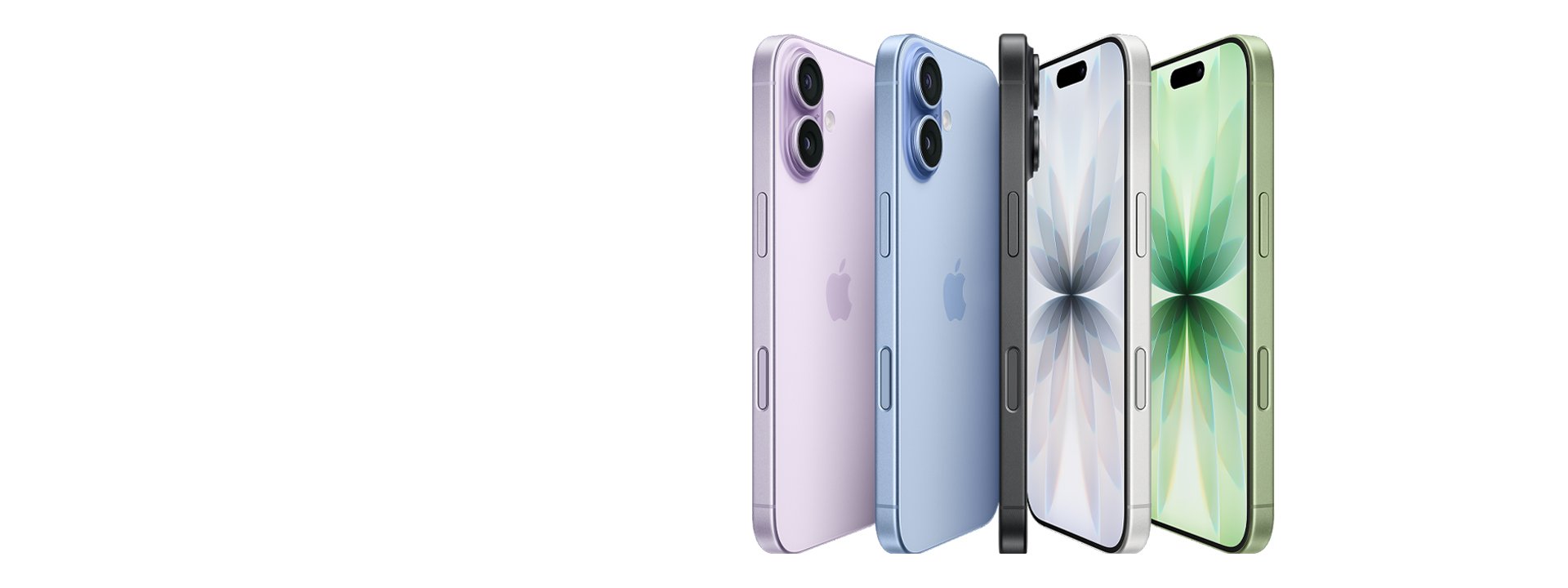 Four iPhones are displayed standing upright in different colors: purple, blue, black, and green, showing both the front and back designs.