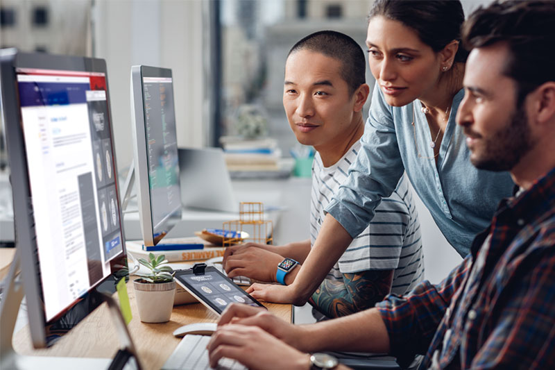 case-study-section-2-800x533