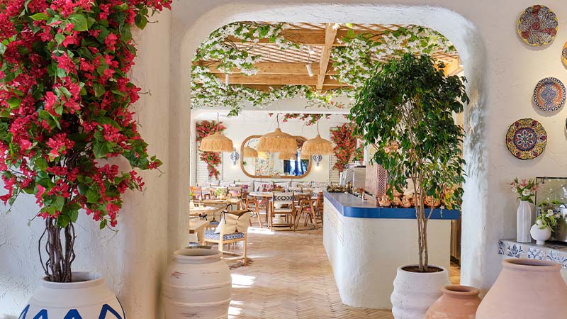 A bright restaurant interior with white walls, potted plants, hanging greenery, woven light fixtures, and decorative plates on the wall.
