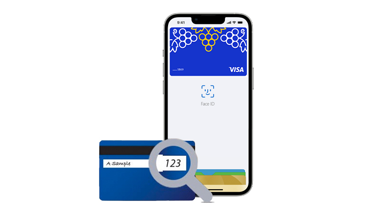 Apple Pay Security in Moldova