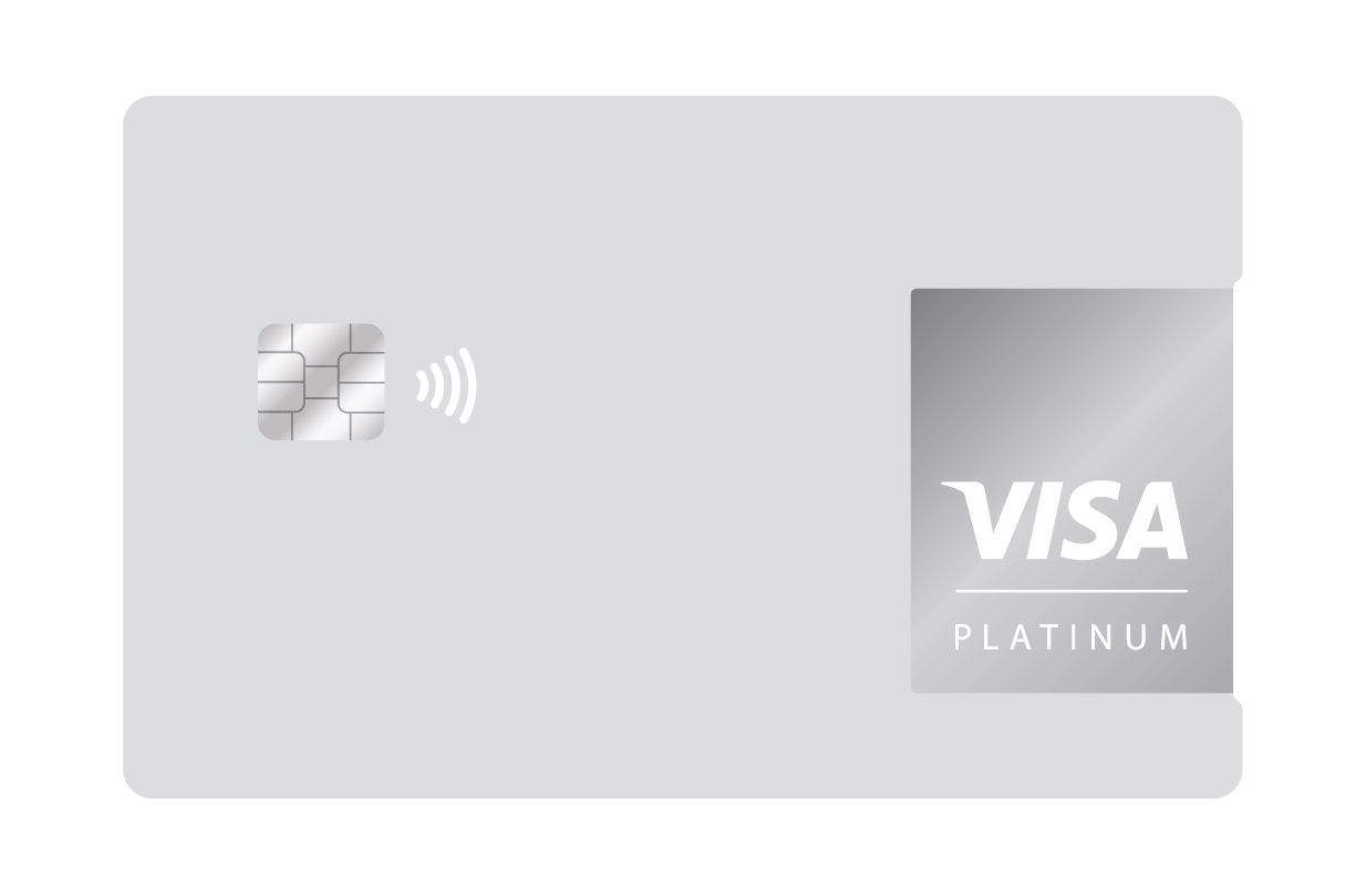 Visa_Platinum